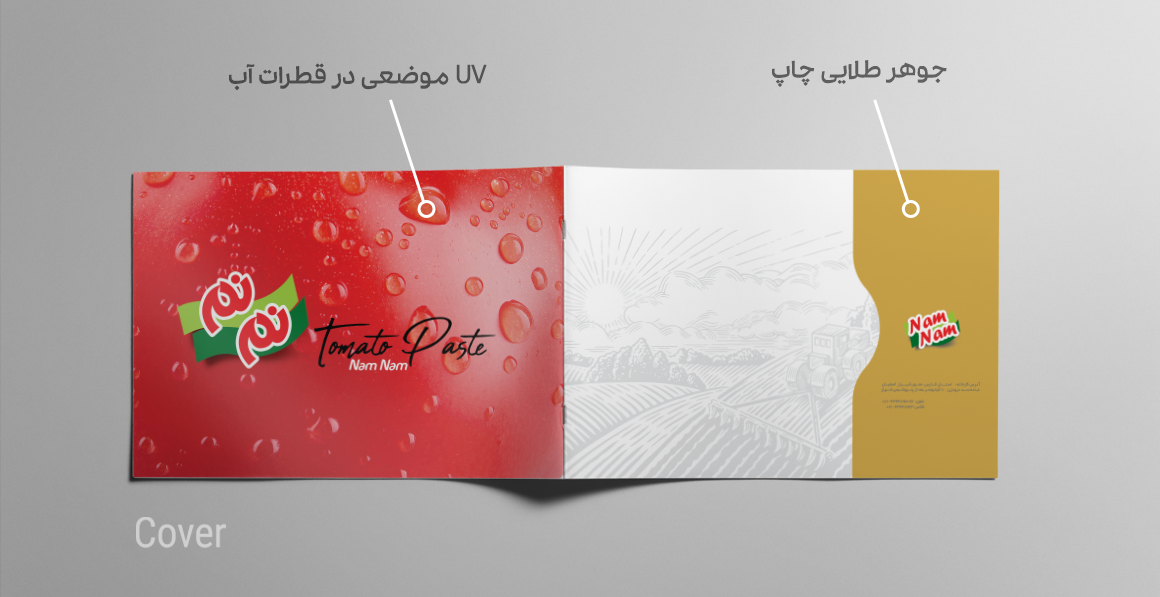 طراحی کاتالوگ