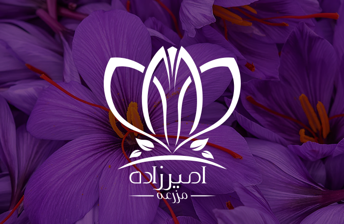 طراحی لوگو مزرعه امیرزاده