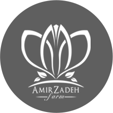 طراحی لوگو زعفران