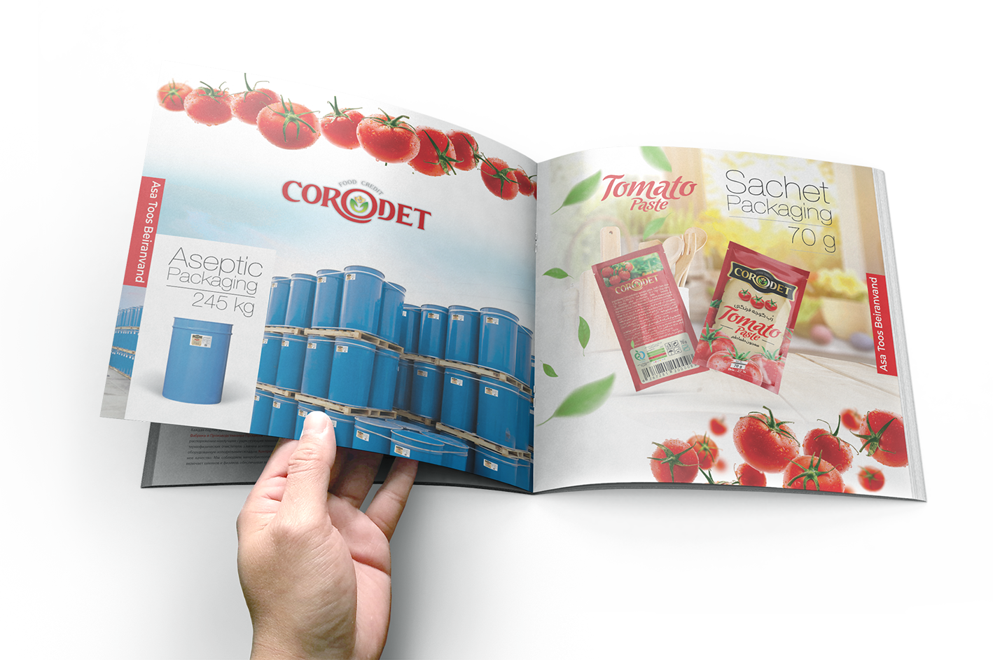 طراحی کاتالوگ کرودت